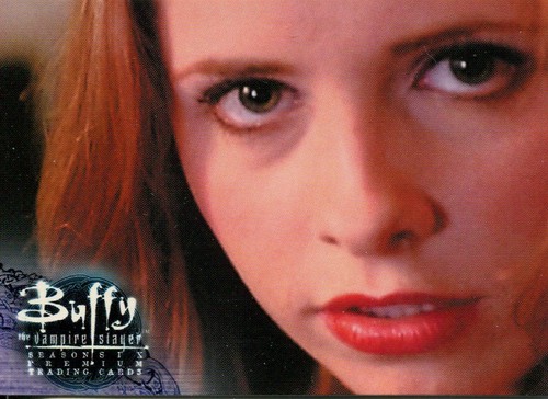 Buffy tvs season caseloader - season,