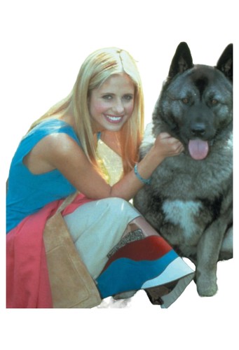 Buffy season dvd komplette - season, 4
